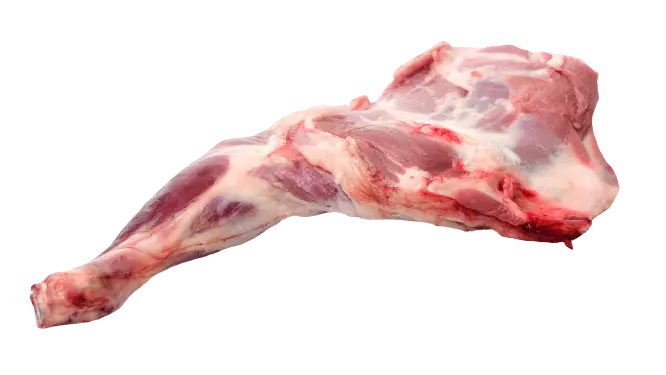 Lamb Leg